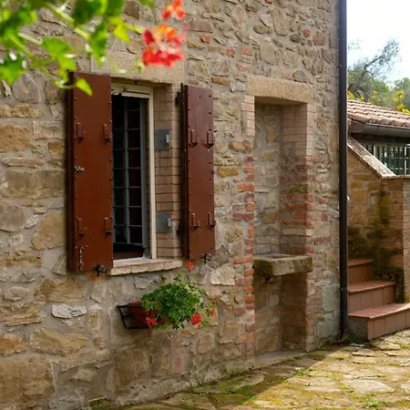 View In Umbria Overlooking Trasimeno *